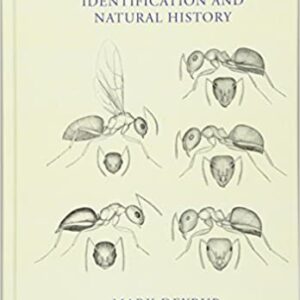 Ants of Florida: Identification and Natural History 1st Edition by Mark Deyrup